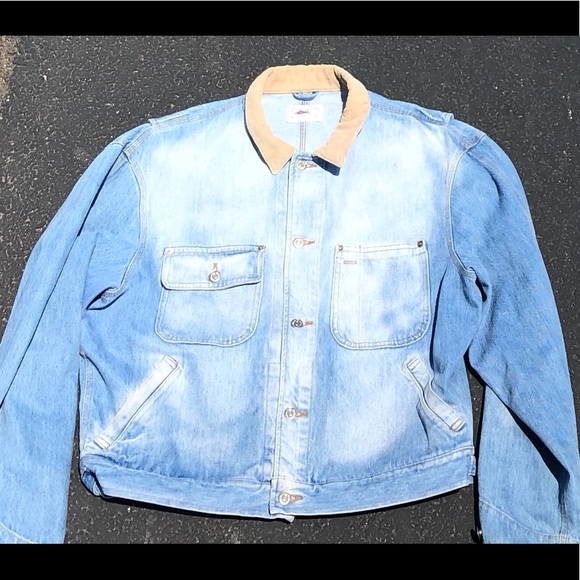 Polo x Panther x - Picture 2 of 5